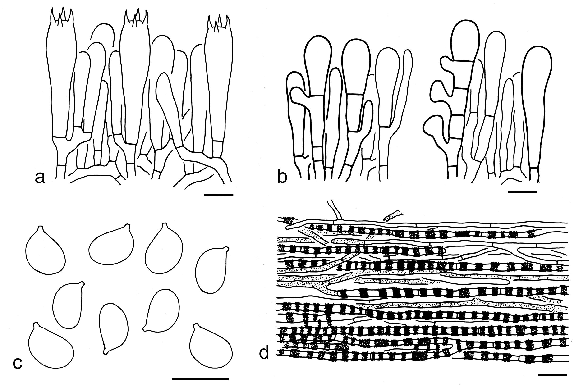 Figure 37